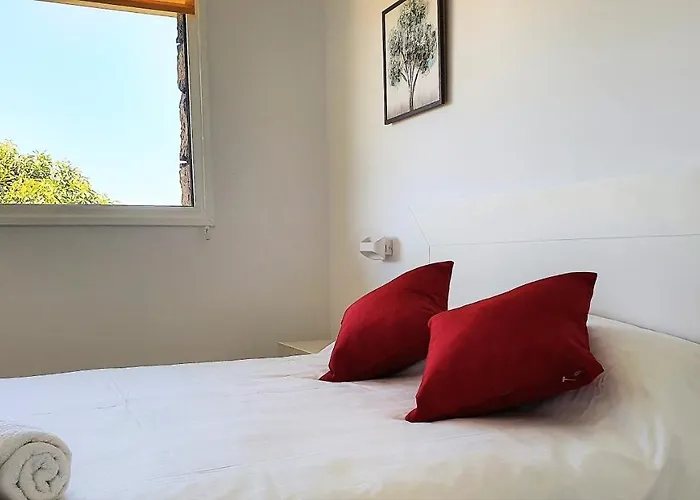 Momentos, Gomez La Orotava